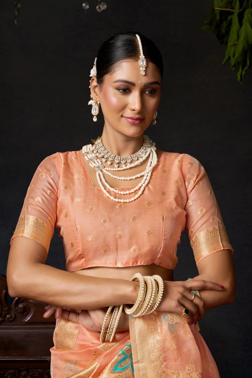 Organza Khadi Saree with Jacquard Weaving & Zhallar