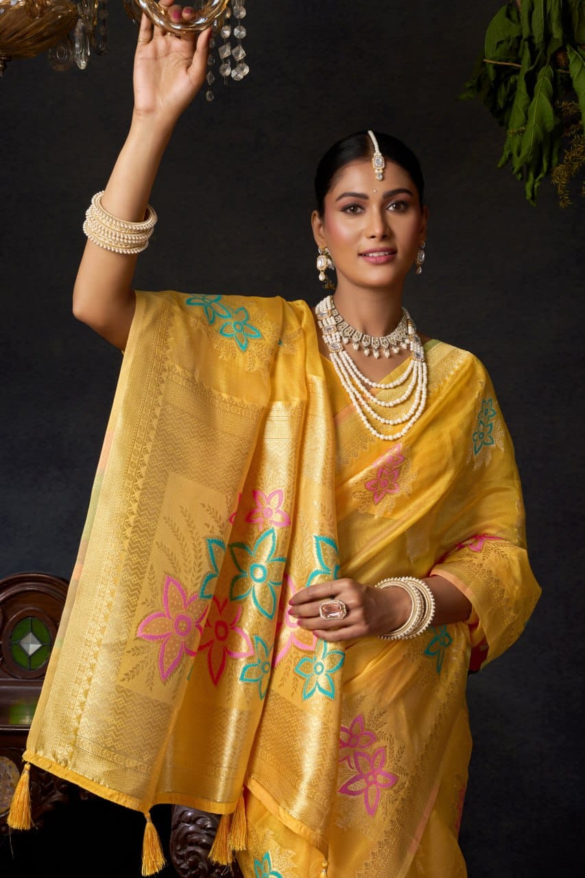 Organza Khadi Saree with Jacquard Weaving & Zhallar