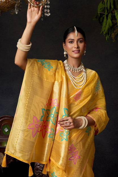Organza Khadi Saree with Jacquard Weaving & Zhallar