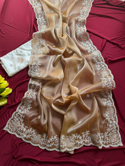 Shimmer Tissue Saree with Sequin Embroidery & Jaipuri Silk Blouse
