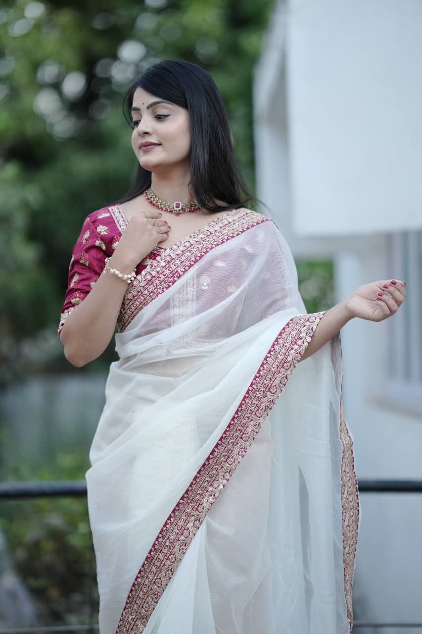 Banarasi Crush Embroidered Saree with Designer Blouse