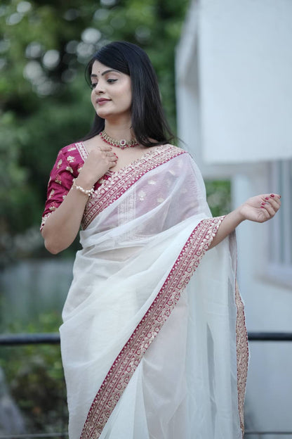 Banarasi Crush Embroidered Saree with Designer Blouse