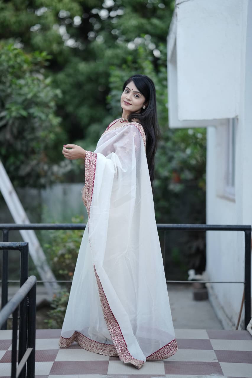 Banarasi Crush Embroidered Saree with Designer Blouse